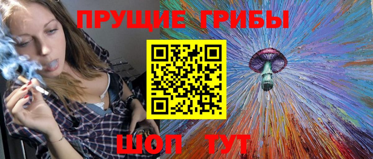 Железногорск  Псилоцибиновые грибы Cubensis  Вход с VPN 