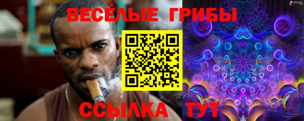 Псилоцибиновые грибы MAGIC MUSHROOMS Железногорск